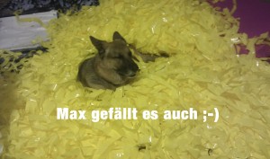 01 pp-gelb-max